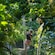 A woman hangs from a zip line in a jungle